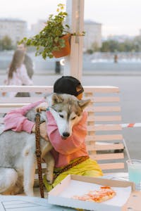 A child in a pink hoodie embraces a Siberian Husky outdoors at a café.